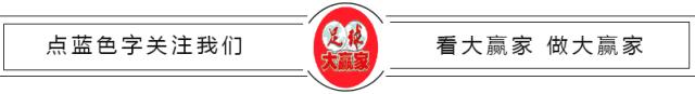 富勒姆拉涅利下课,富勒姆换帅