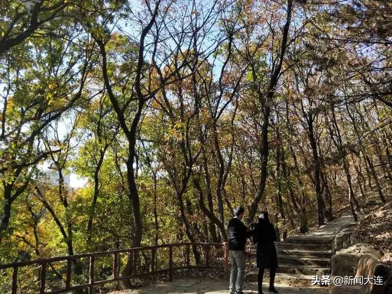 赏秋不必远行！大连这些地方美得正当时