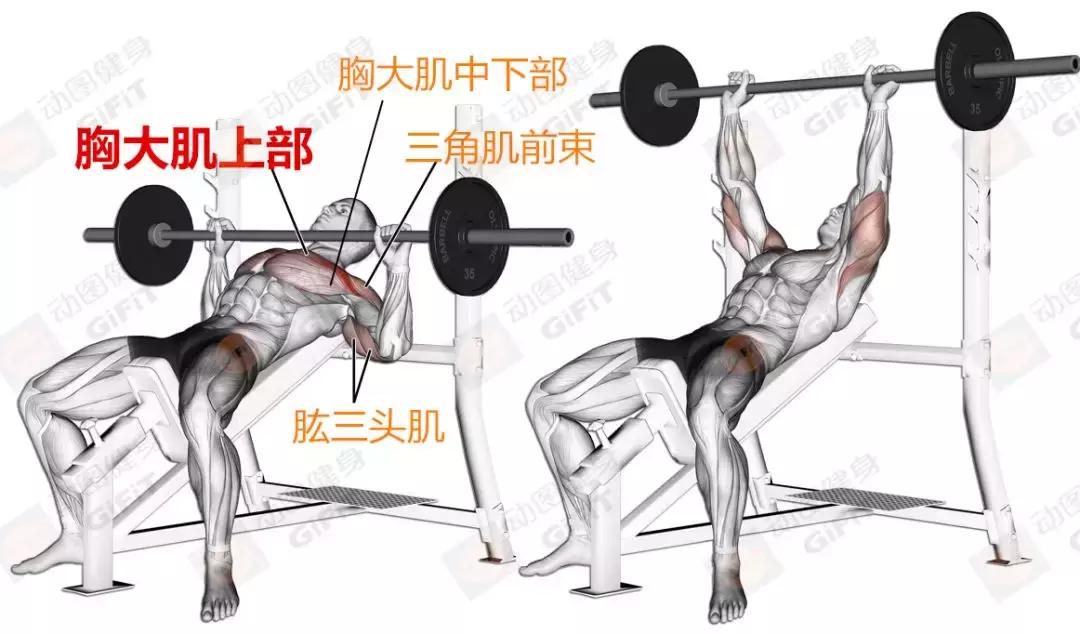 女生健身房器械训练计划一周,初中生健身房器械训练计划