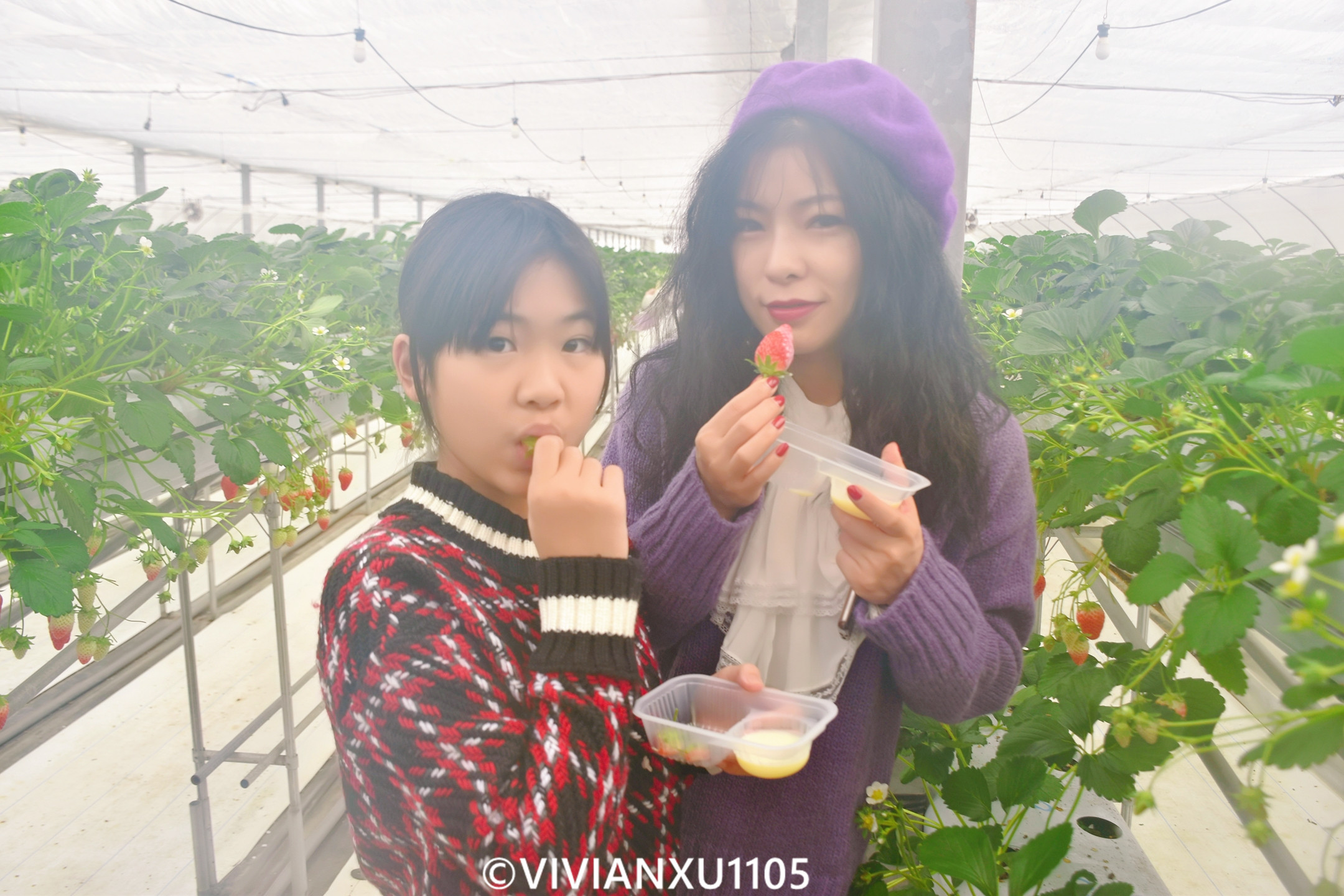 塑料母女日本东北深度游（秋田山形）