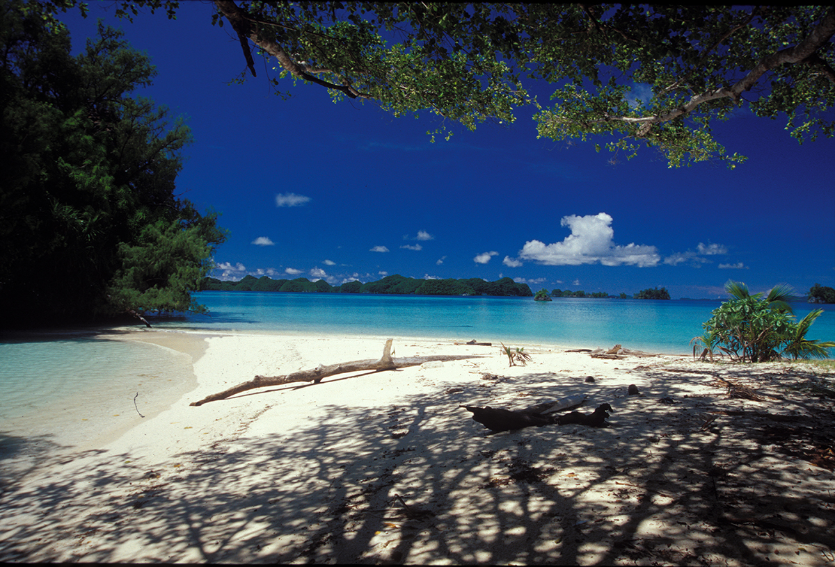 人口仅1.8万的小国帕劳：人均负债却高达547万，约是我国的640倍