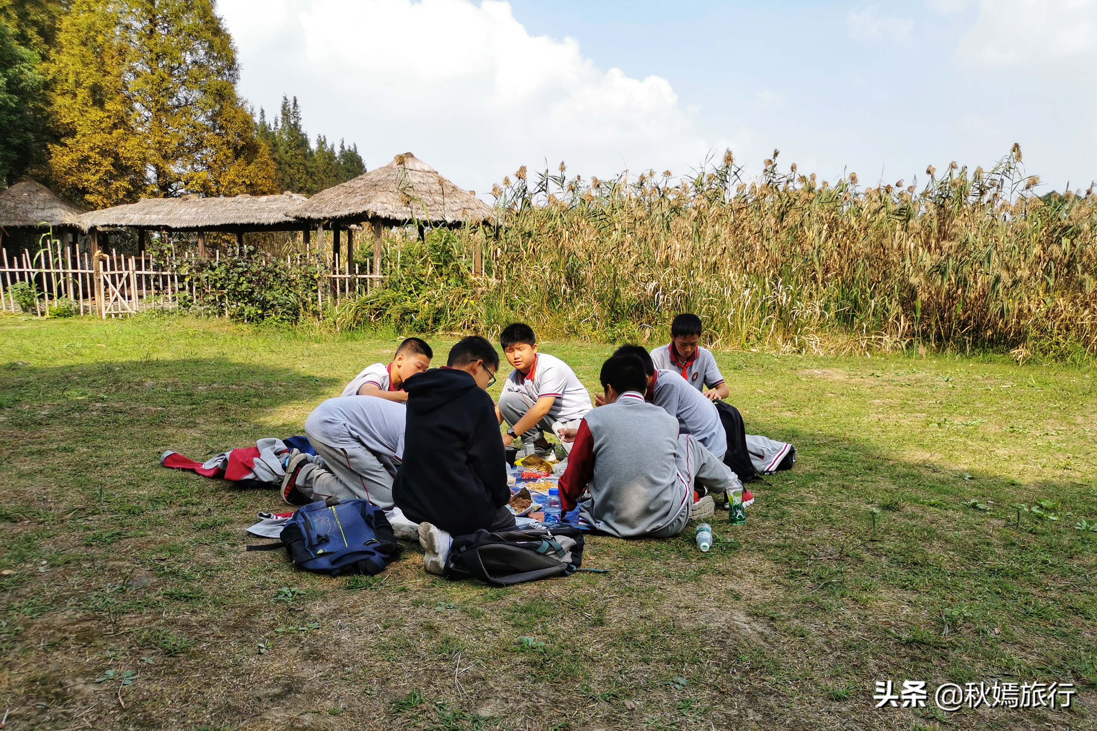 这座华东地区最大的湿地公园，拥有一千多亩芦苇荡，游客络绎不绝