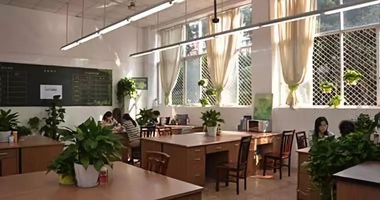 沙坪坝最好的中学校,沙坪坝区初中学校排名