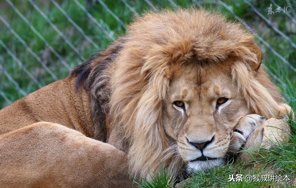 时隔多年再读一本书,时隔三十年的书籍