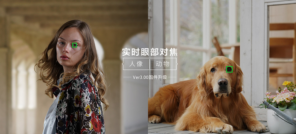 索尼a7m3提高锐度和像素,索尼微单a7m3使用技巧