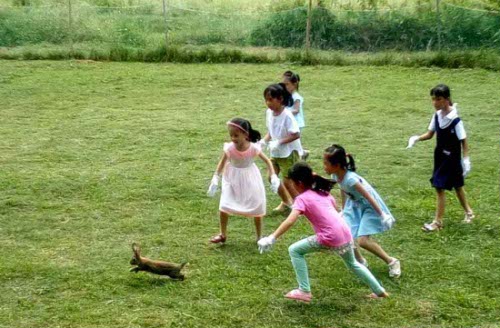 南宁隐藏的景点,南宁周边农家乐游玩景点推荐