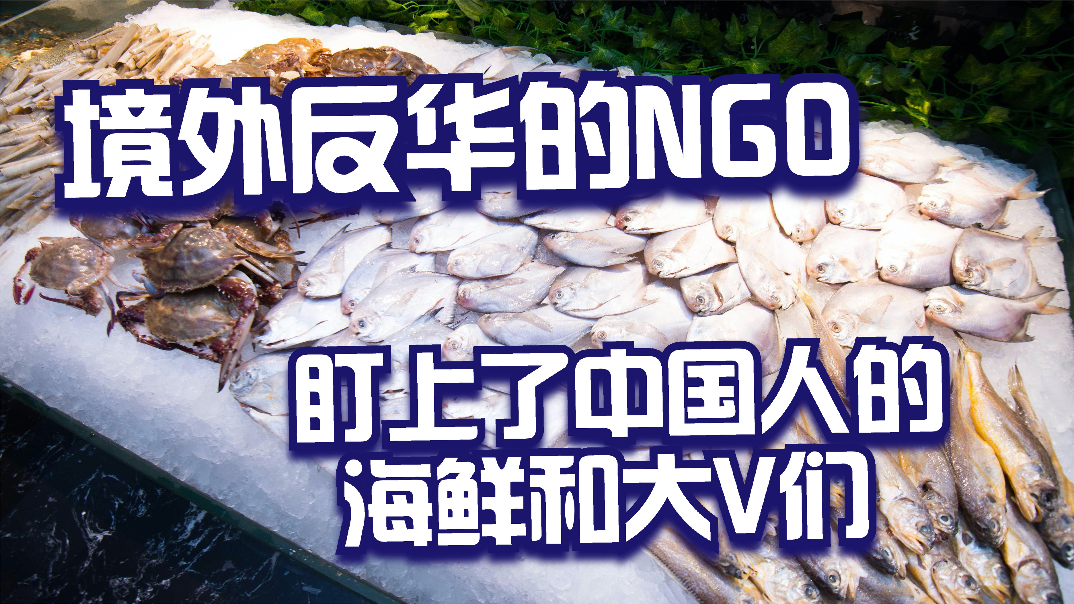 境外*华反**的NGO，盯上了中国人的海鲜和大V们