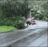 湾头大桥上的“速度与豪情”，炸街、超速，处罚一个都跑不了！