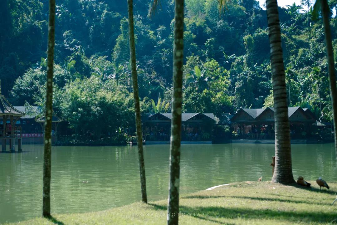 泰国西双版纳旅行,西双版纳基诺山热带雨林徒步