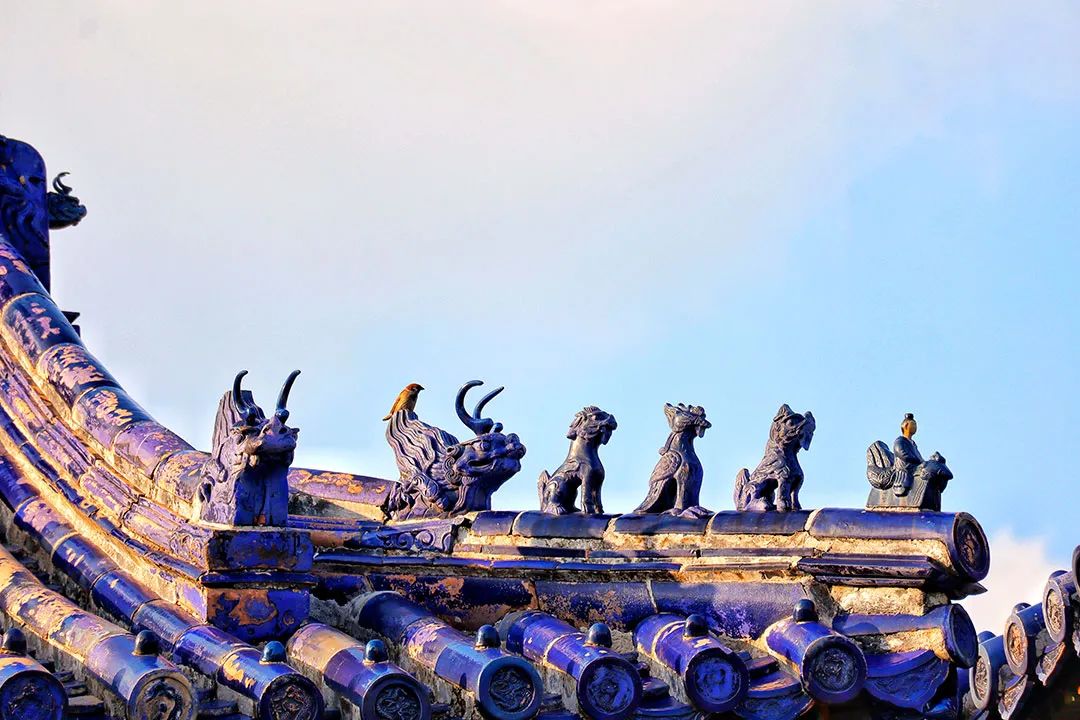 环球影城-皇家祭坛-宣南文化，地铁7号线串起最有味道的北京南城