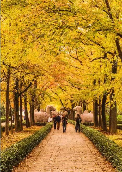 亚洲宜居城市排名2019,中国唯一一个国际评选的宜居城市