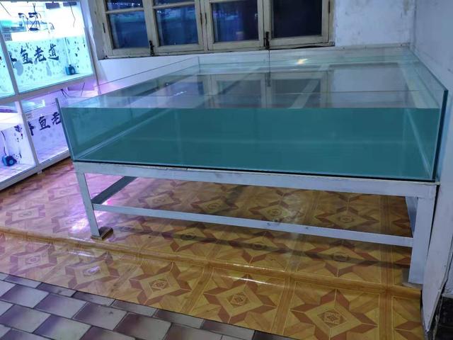 一位鱼友对饲养观赏鱼历程的总结,杂谈饲养观赏鱼的日常管理