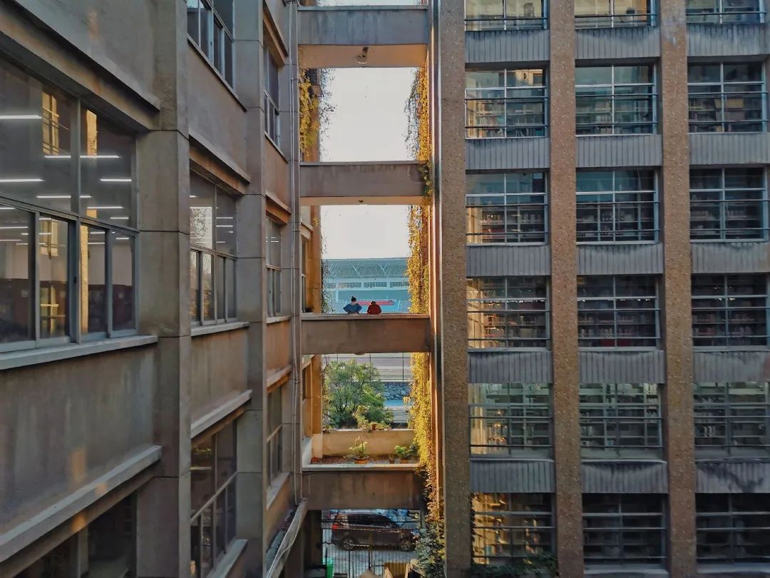 向往的生活1中的小院,精装版向往的生活