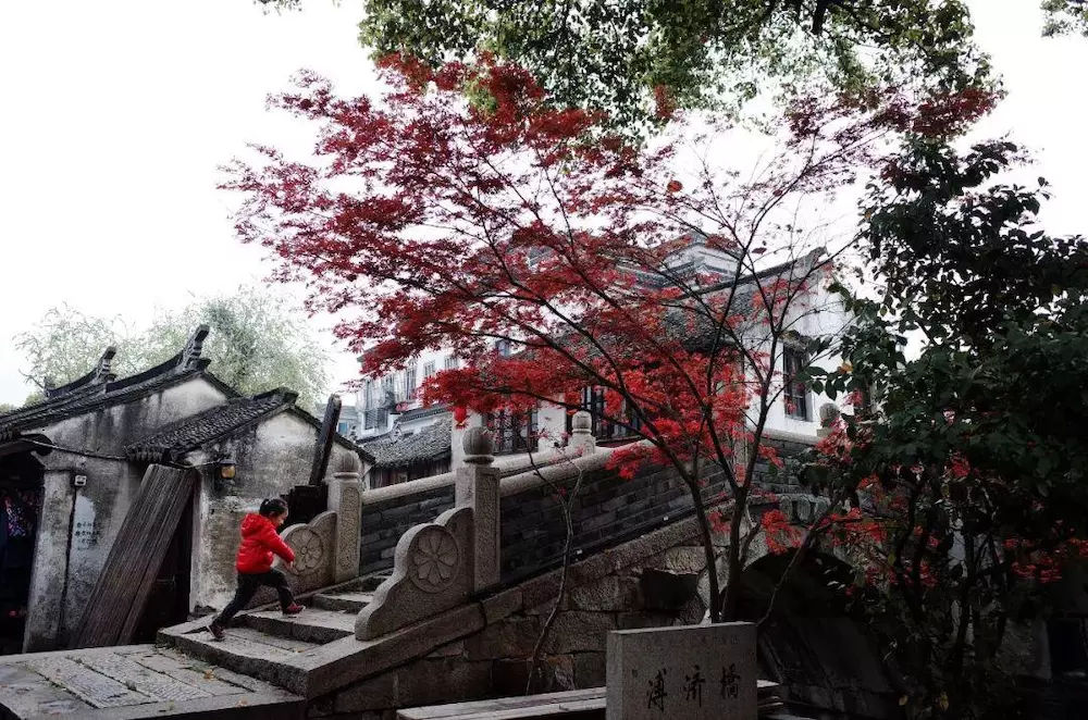 中国最有意思的县级市既是水乡界的杠把子，还有爆火的网红建筑