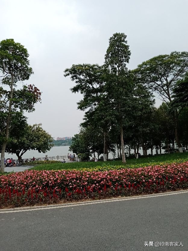 海珠湖公园和海珠湿地公园一样吗,海珠湖国家湿地公园开放时间