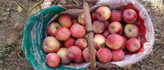 雾灵山内住宿推荐,雾灵山在山上住宿最佳方案