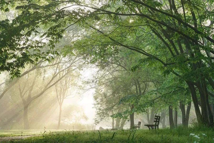 领奖的心情变化,领奖的时候都特别顺利