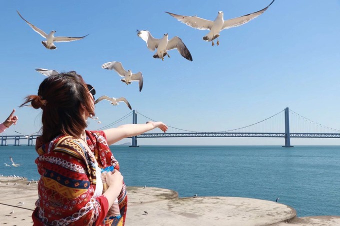 大连看海的最佳地方,大连看海攻略全新出炉