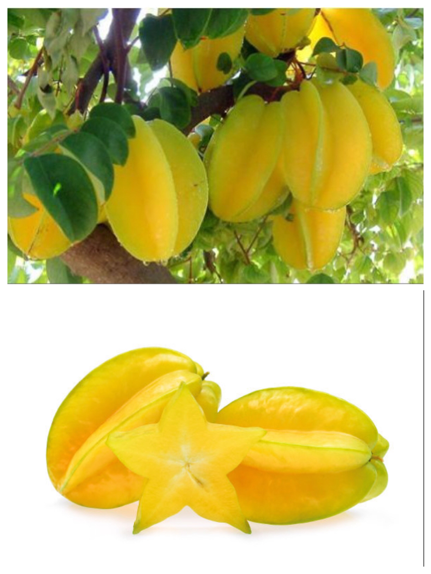 10大奇异水果你吃过几种,这五种奇葩罕见的水果你吃过几种