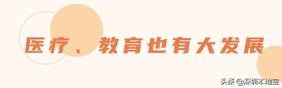 深圳大湾区未来5年的发展,深圳经济特区宝安