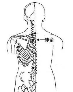 三伏灸温经通络,三伏艾灸胜人参