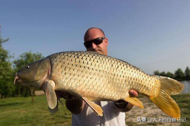 最有效的海杆爆炸钩钓法,海竿用大爆炸钩好还是小爆炸钩好