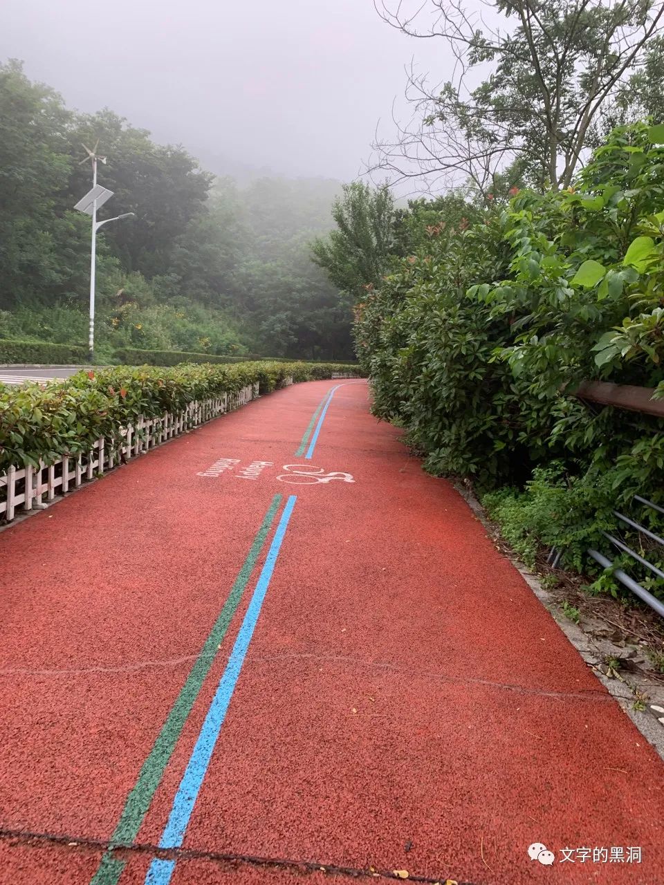 爸爸亲子夏令营,父子暑假旅行