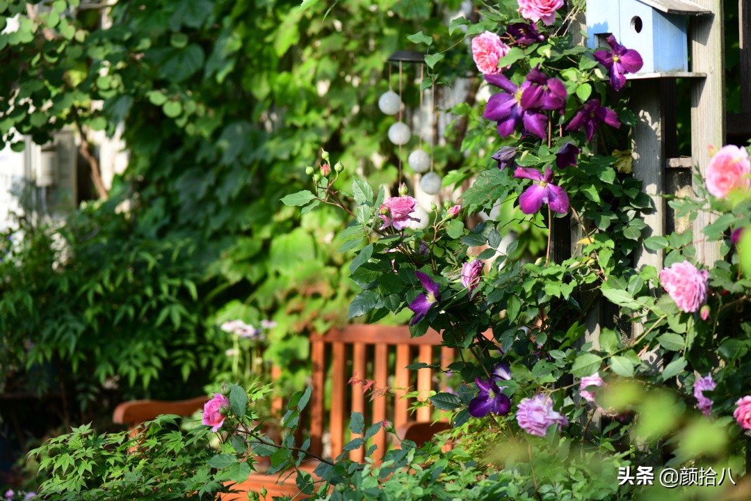 愿时光静止,愿时光静止在这一刻