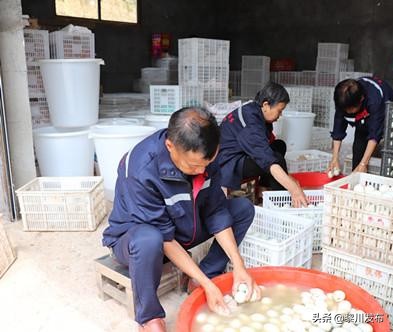萍乡湘东区南岸农旅扶贫产业园,萍乡乡村振兴与脱贫攻坚