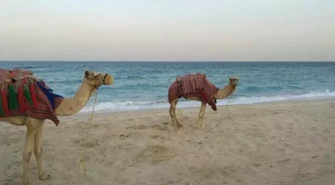 全世界老百姓收入最高的国家,全球收入最高国家排名前十名