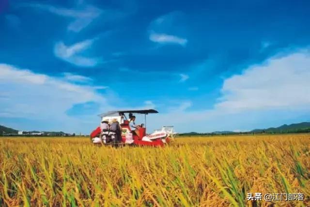 广东美丽台山,美丽台山