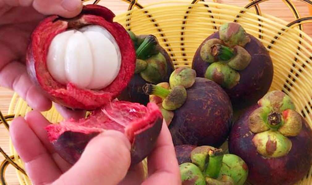 山竹里面的黄浆能吃吗,山竹果浆能吃吗