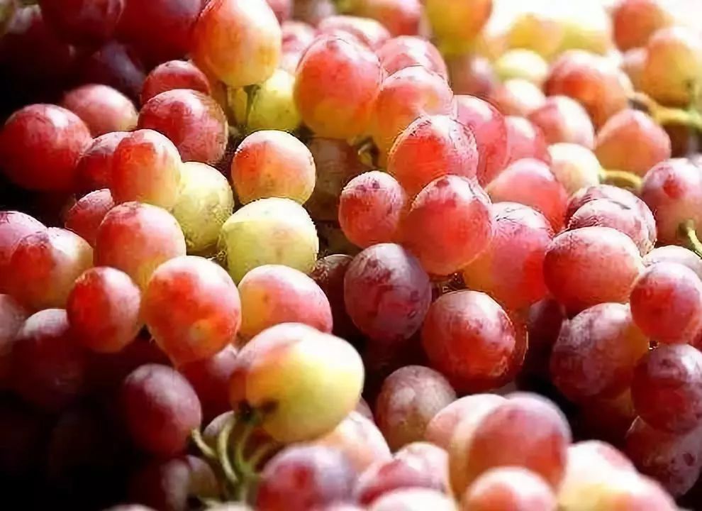 全国各地最全特产,全新疆特产