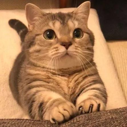 ps手绘100个小妙招,ps手绘零基础教程