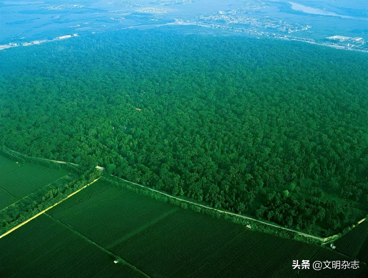 瀛旀灄瀹惰氨,瀛旀灄瀹惰氨瀛楄緢澶у叏