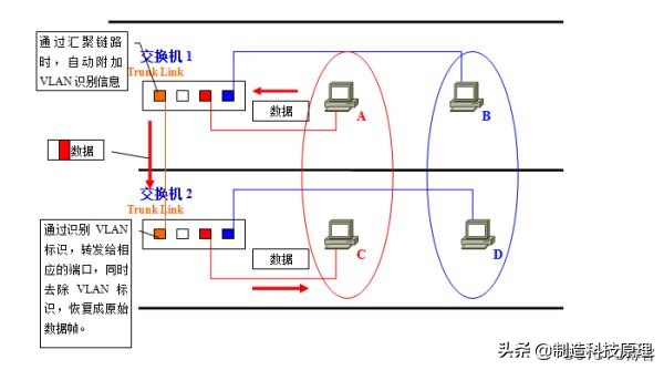 史上最详解的vlan技术解析,vlan与vlan的区别通俗易懂