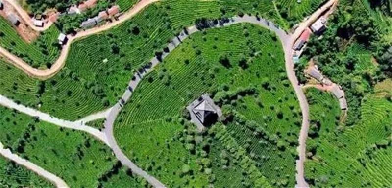 官宣免费全本小说,影后和大总裁官宣了全文免费阅读