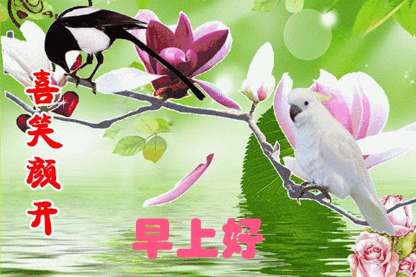 面对烦恼一笑而过是一种平和释然,面对忧愁烦恼要学会一笑置之