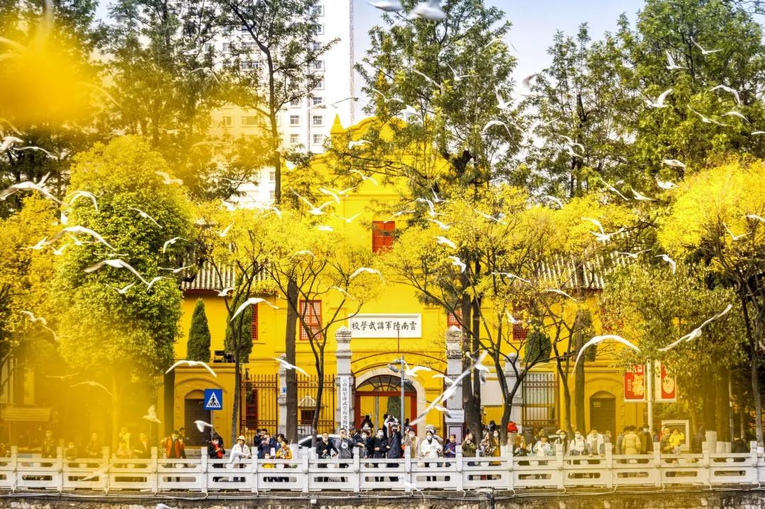 云南研学旅行路线推荐,云南寒假研学游推荐