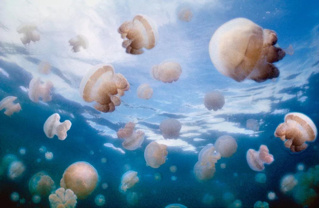 亚洲十大最美度假海岛,100座世界最美海岛