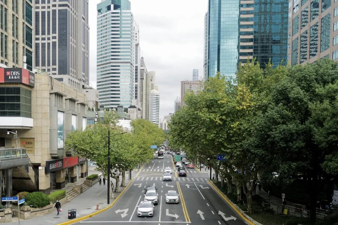 别争了，这条马路才是魔都内卷之王