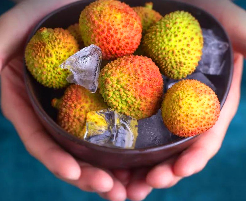 杨贵妃吃的荔枝从什么地方来,杨贵妃吃的荔枝产自哪里