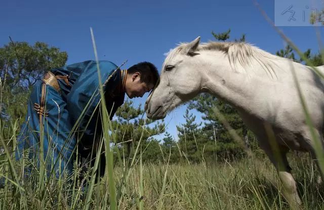 战功赫赫的马，驰骋草原的马，都是蒙古人的浪漫