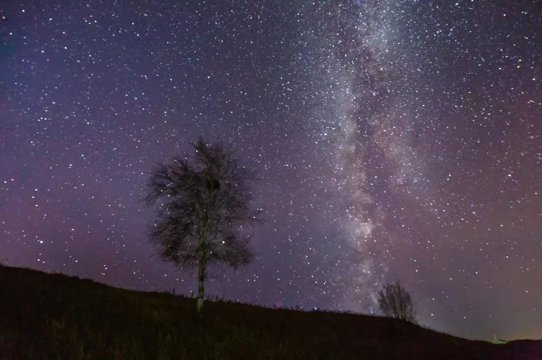 呼伦贝尔感受大自然的美好,呼伦贝尔终生难忘的草原