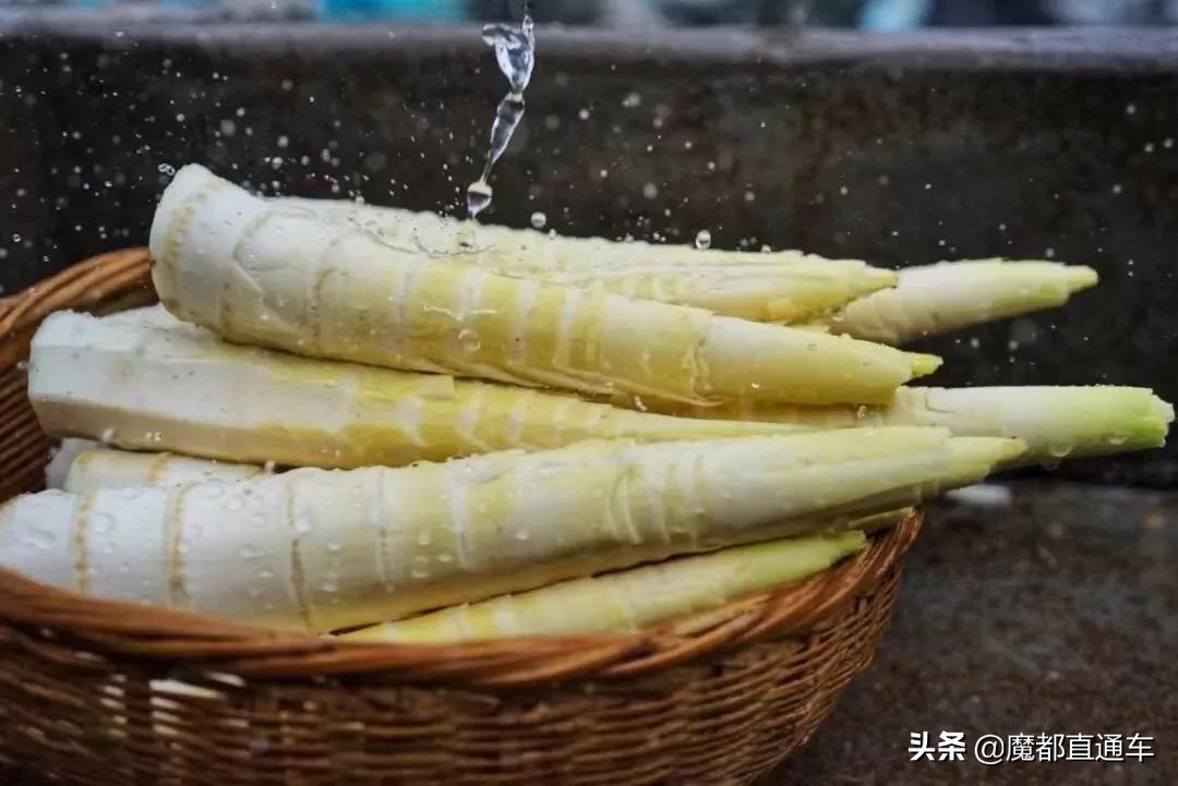 2019，在最好的时间，挑最好的地点，吃最好的食物！