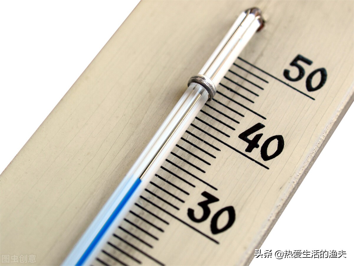 刚孵化出来的金鱼苗多久能喂食,金鱼鱼苗养几个月才能开过滤