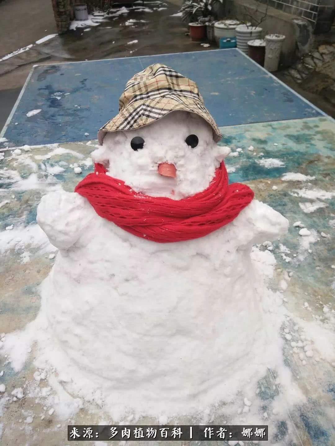 篱笆花开情常在，守你一生不变！