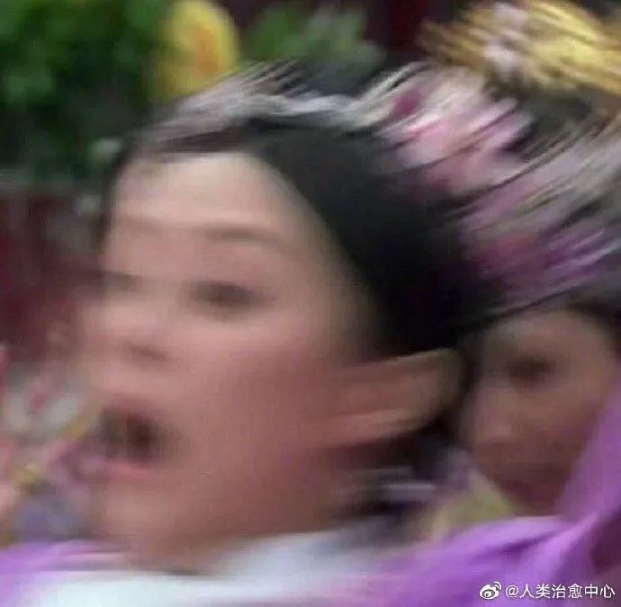 看到铲屎官终于回家，立即安心地睡着了|冷段子1986