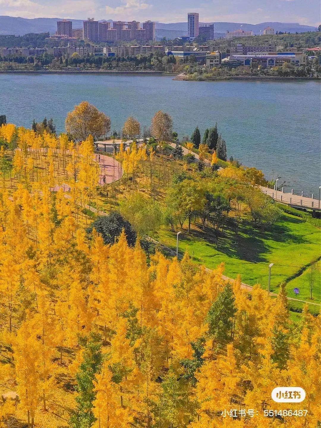 昆明避暑冷惨了外省人,昆明过冬真实感受