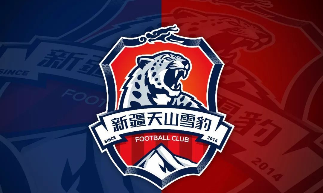 新疆青少年足球世界杯,新疆青少年足球拿过多少世界冠军